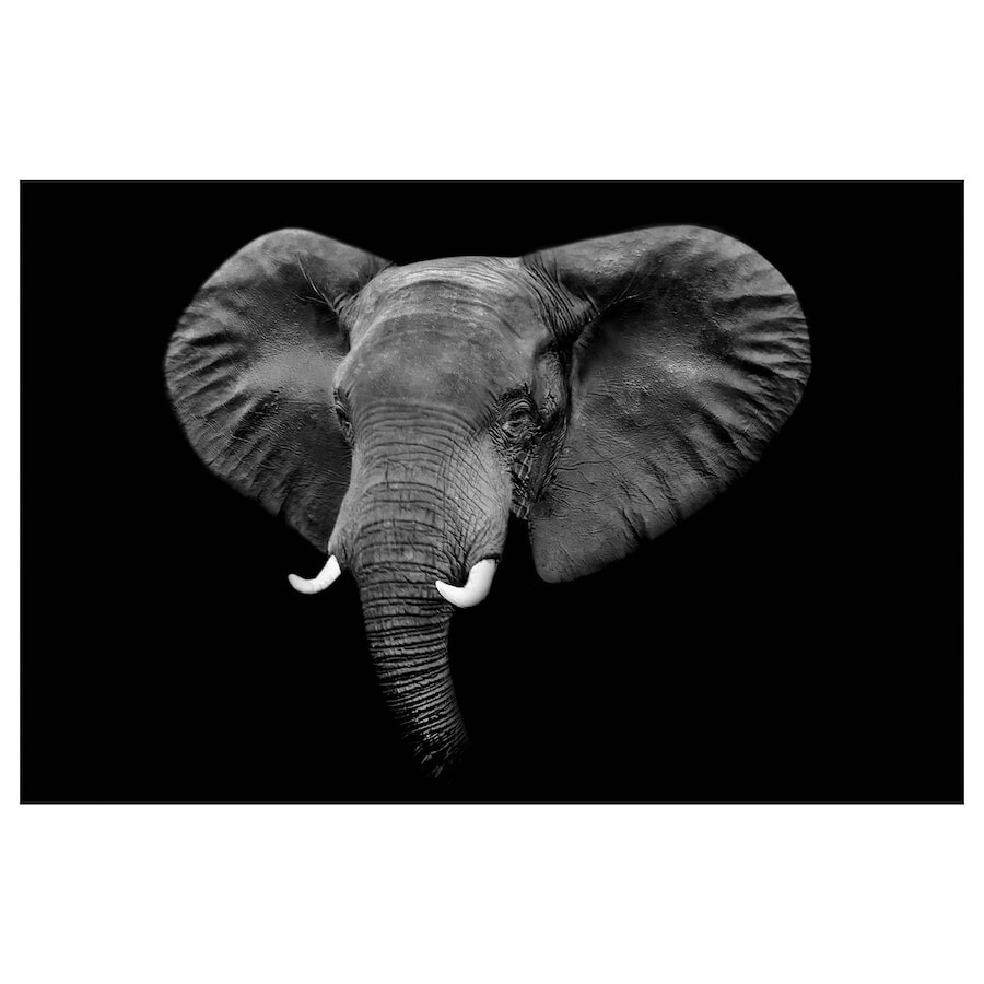 

Картина Ikea Pjatteryd Grey Elephant, 118х78 см