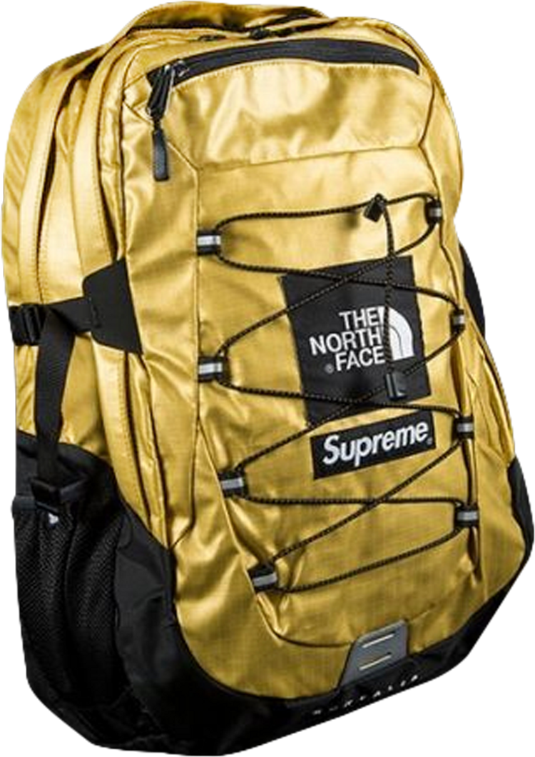 Supreme north face borealis hot sale backpack