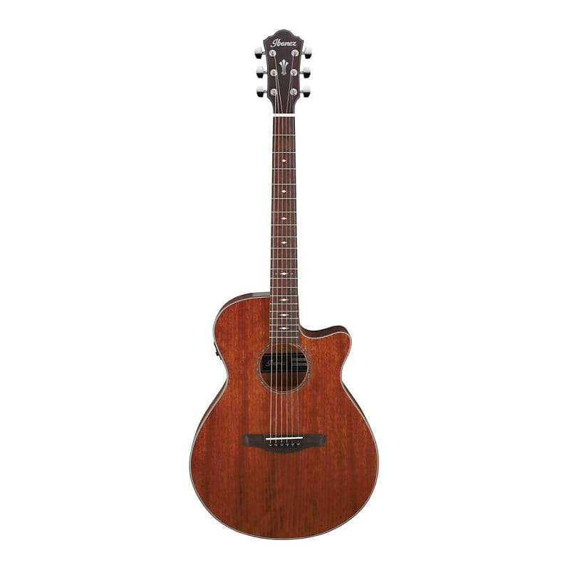 цена Ibanez AEG220 6-струнная электроакустическая гитара (правая рука, натуральный глянец) Ibanez AEG220 AEG Series Acoustic-Electric Guitar, Natural Low Gloss
