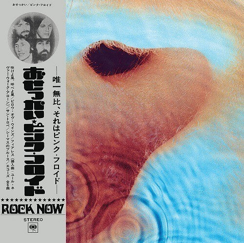 

CD диск Pink Floyd: Meddle