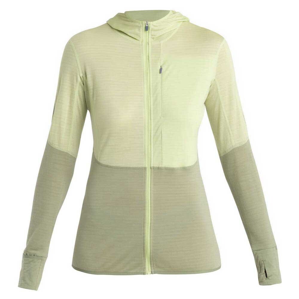 

Толстовка Icebreaker Merino 200 Realfleece Descender, бежевый