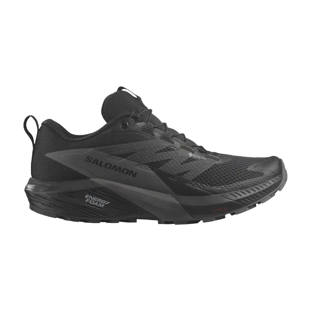 

Кроссовки Wmns Sense Ride 5 GORE-TEX Salomon, черный