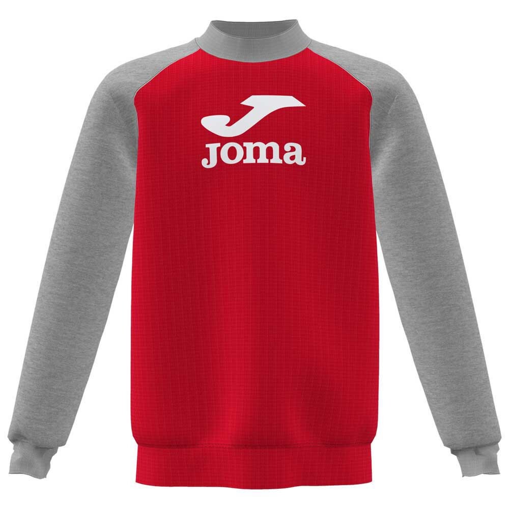

Толстовка Joma Lion, серый