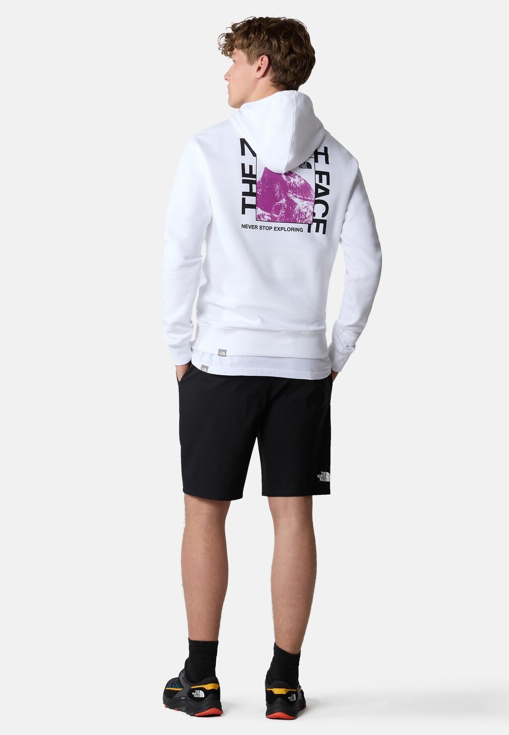 

Худи The North Face