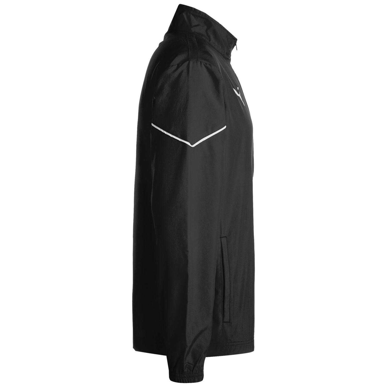 

Спортивная куртка Puma teamRISE Sideline, черный
