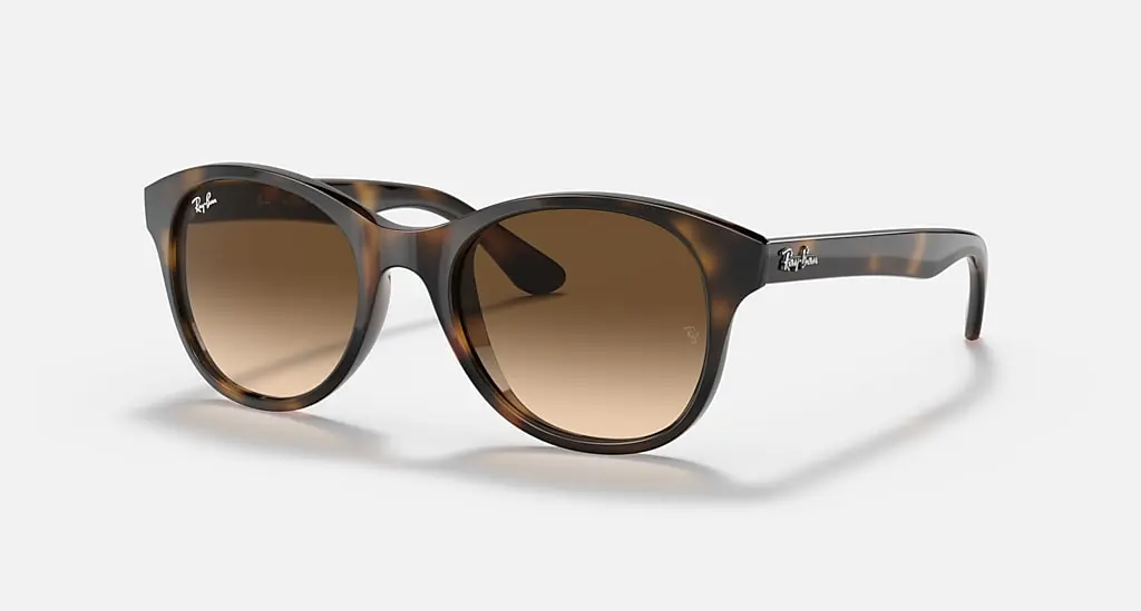 

Солнцезащитные очки Ray-Ban RB4203, коричневый градиент