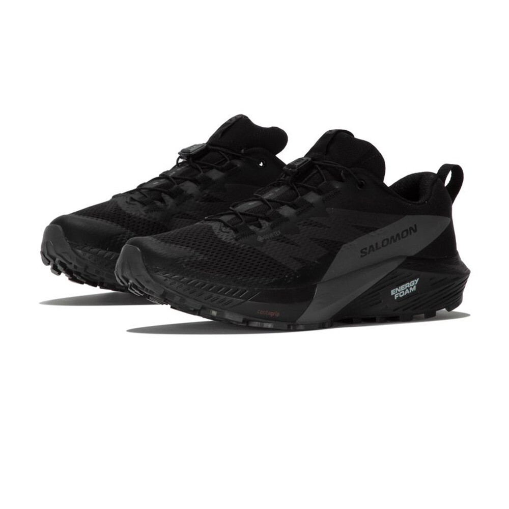 

Кроссовки для бега Salomon Sense Ride 5 GORE-TEX Trail, черный