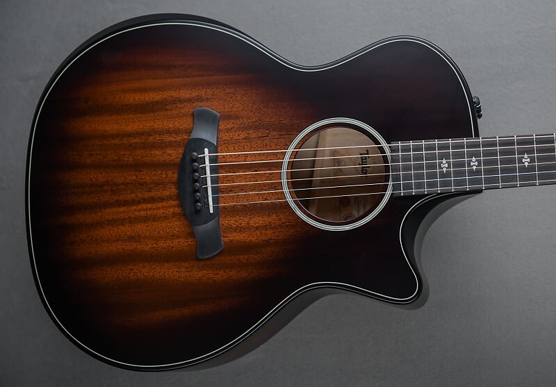 

Версия для строителей 324CE Taylor Builder's Edition 324CE