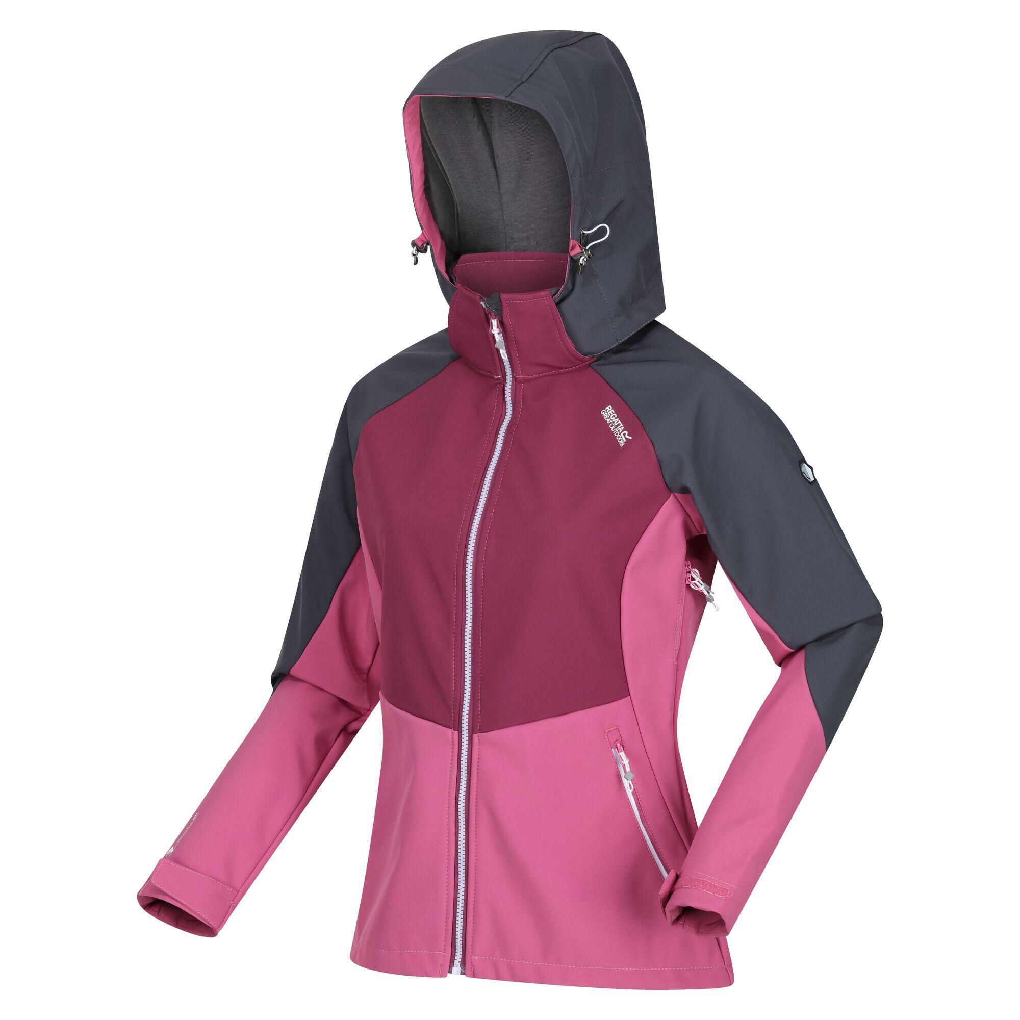 цена Куртка из софтшелла походная женская Regatta Desoto VIII, синий/фиолетово-розовый/серый