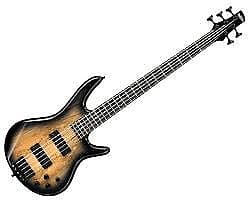 Бас-гитара Ibanez Gio SR5str Natural Grey Burst GSR205SMNGT