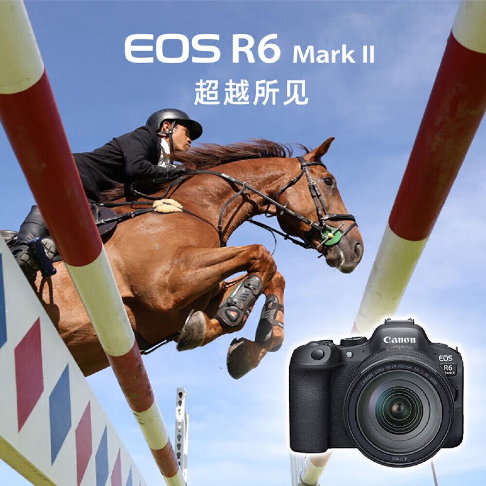 Фотоаппарат Canon EOS R6 Mark II – заказать из-за границы с доставкой в ...