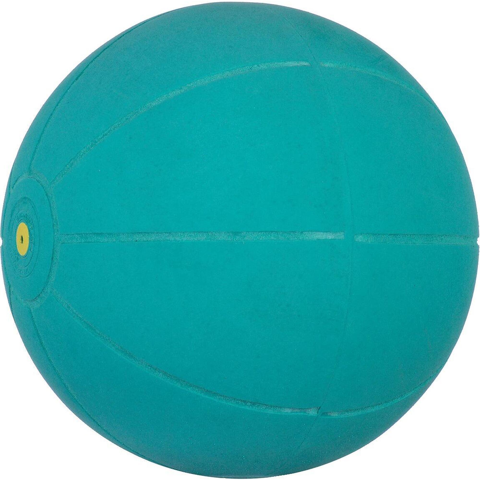 Медицинский мяч WV, 1 кг, ø 20 см, зеленый, зеленый