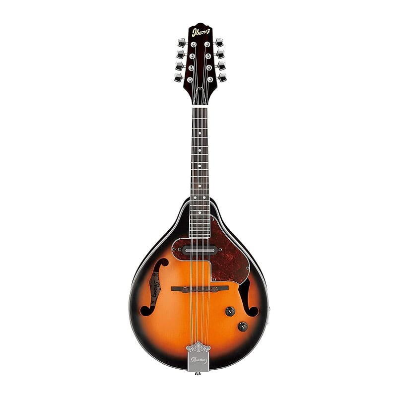 

Ibanez M510E 8-String A-Style A/E Mandolin Acoustic Guitar (Brown Sunburst High Gloss) Ibanez M510E 8-String A-Style A/E Mandolin Acoustic Guitar (Brown Sunburst)