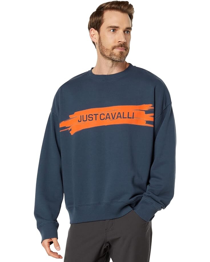 

Толстовка Just Cavalli S03GU0171, цвет Iron