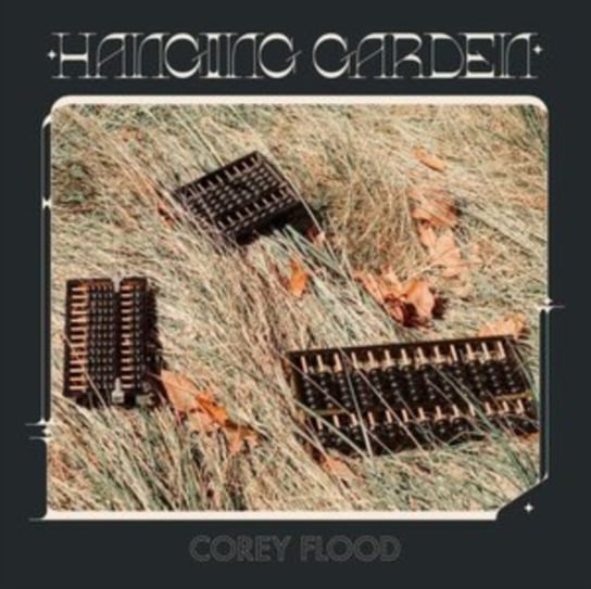 Виниловая пластинка Corey Flood - Hanging Garden