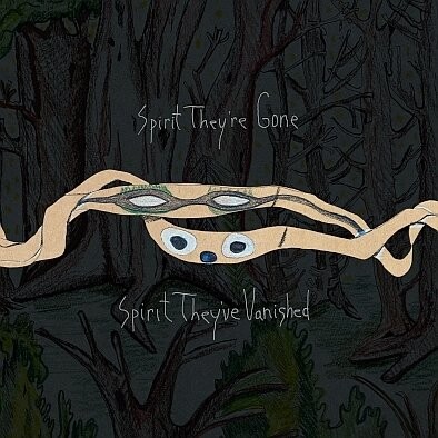 

Виниловая пластинка Animal Collective - Spirit They're Gone, Spirit They've Vanished (Remastered)