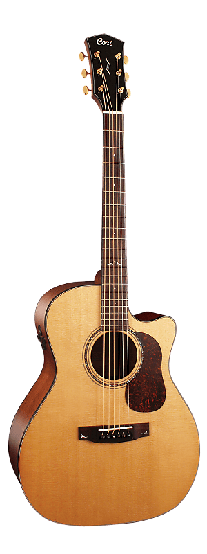 цена Акустическая гитара Cort Gold-A6