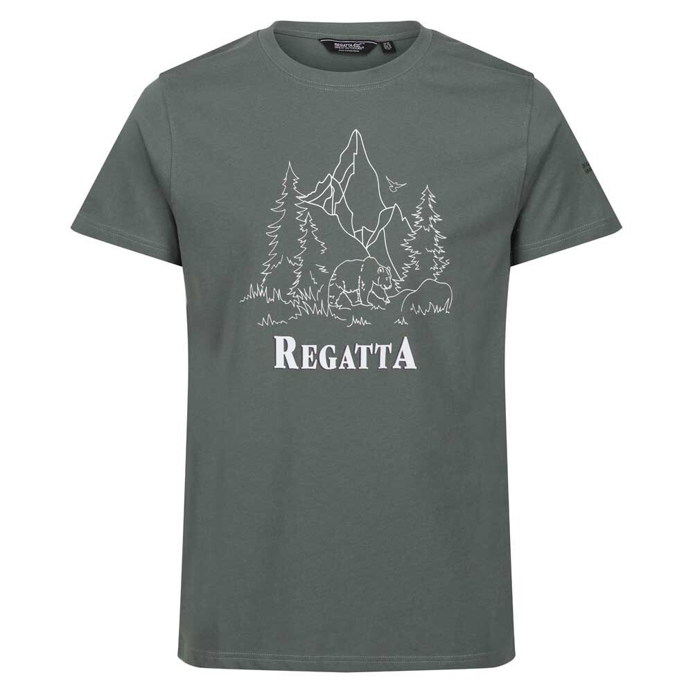 

Футболка Regatta Cline VII, серый