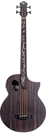 

Басс гитара Michael Kelly Dragonfly 4 Port Java Ebony Fretless Acoustic Electric Bass Guitar
