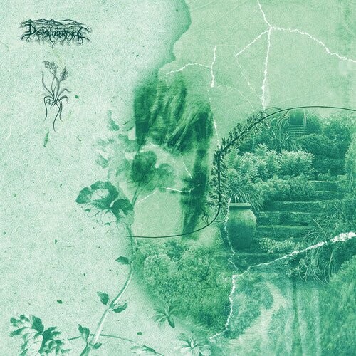 

Виниловая пластинка Dismalimerence & Sadness - Resplendence