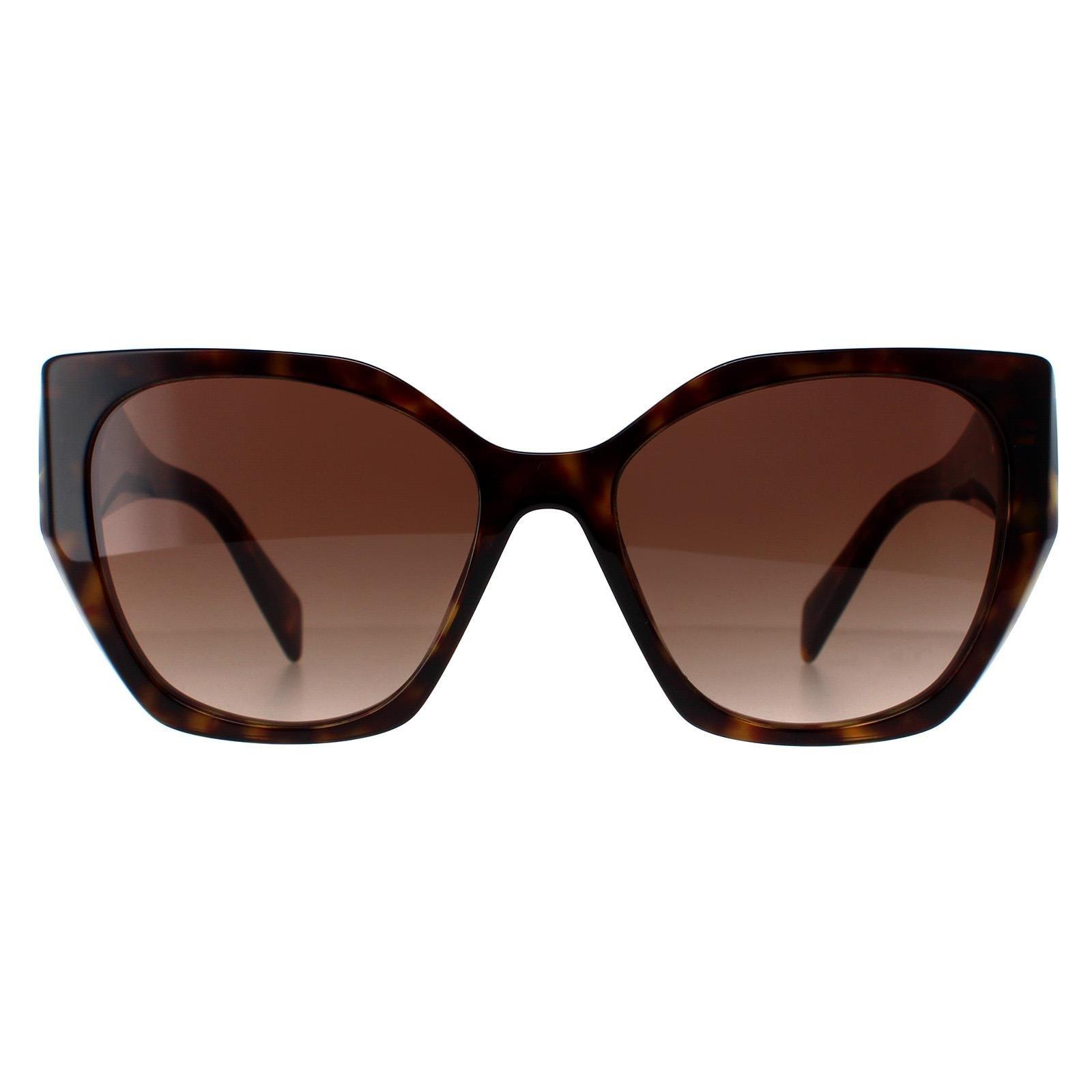 Квадратный Гавана Коричневый Градиент PR19ZS Prada, коричневый женские солнцезащитные очки romeo r4032 brown