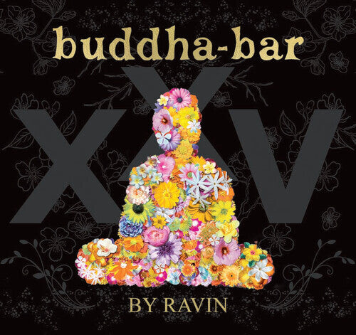 

CD диск Buddha Bar Xxv / Various: Buddha Bar XXV / Various
