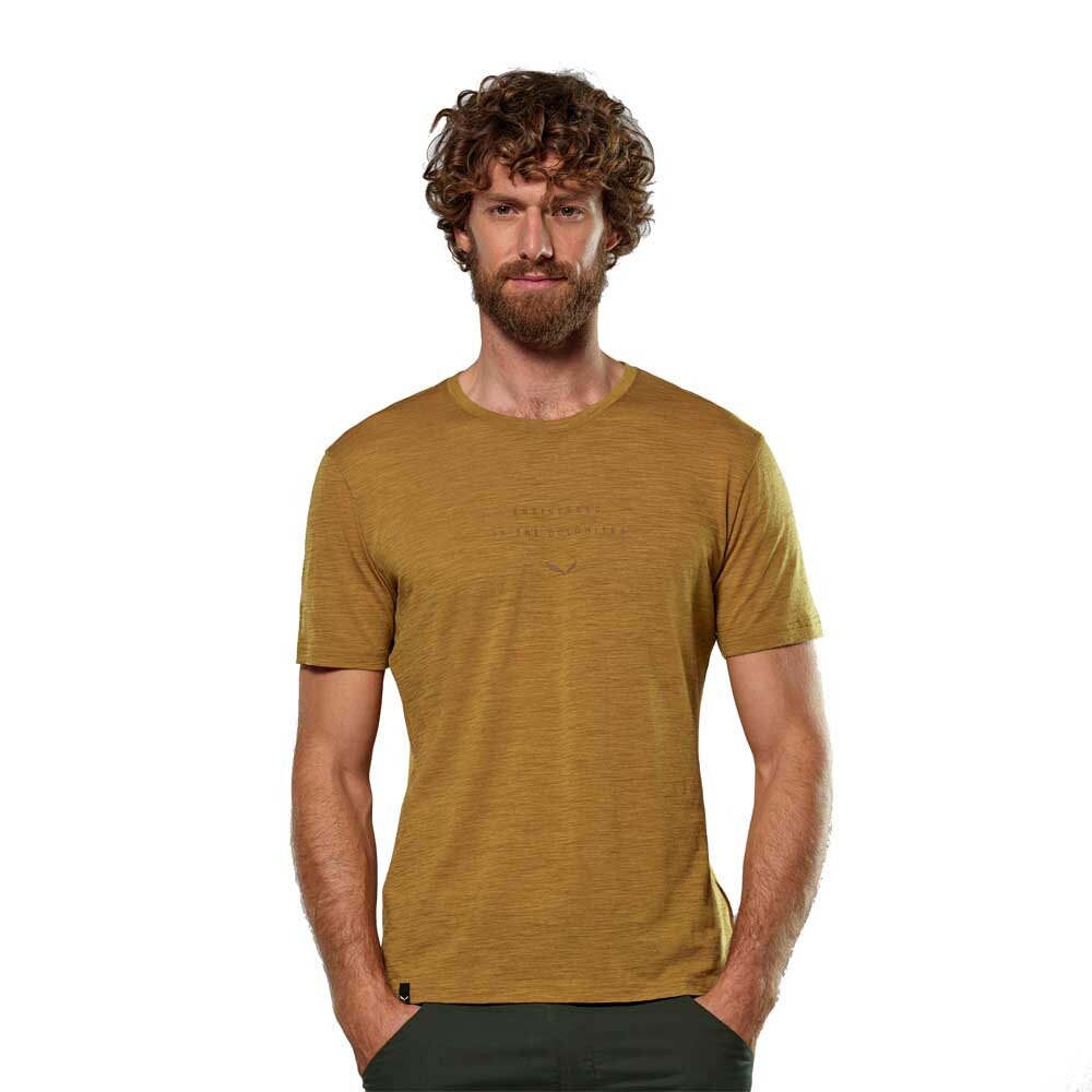 

Футболка Salewa Eagle Eitd AM, коричневый