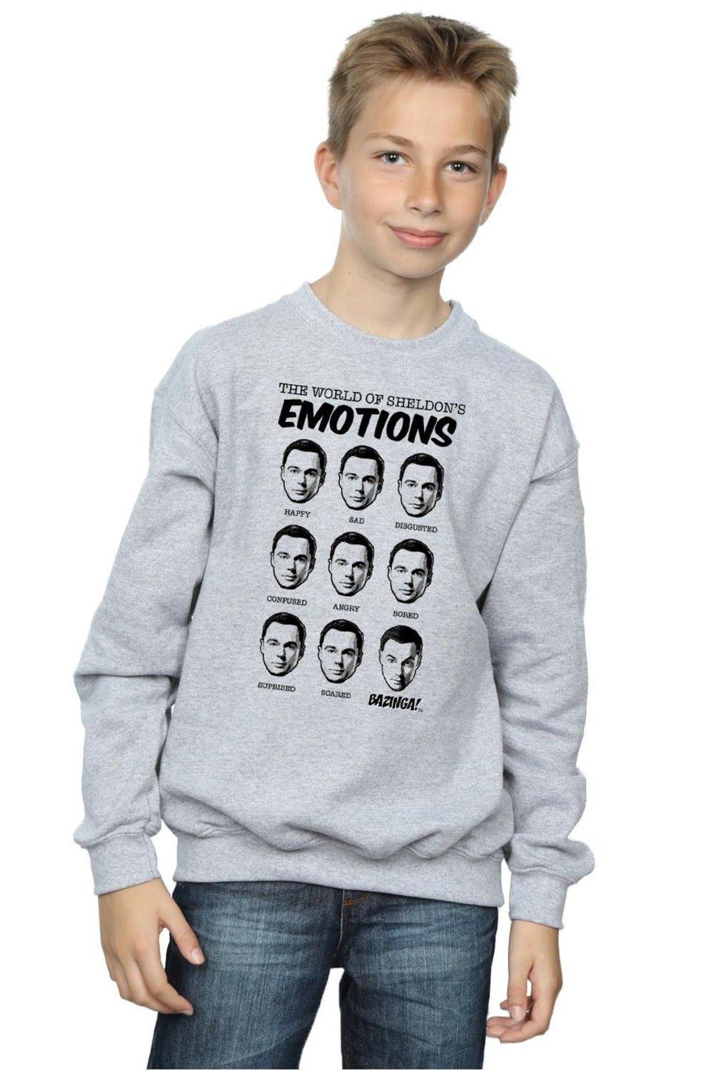 Толстовка Sheldon Emotions The Big Bang Theory, серый