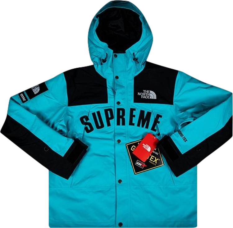 Supreme north face 2025 arc logo parka