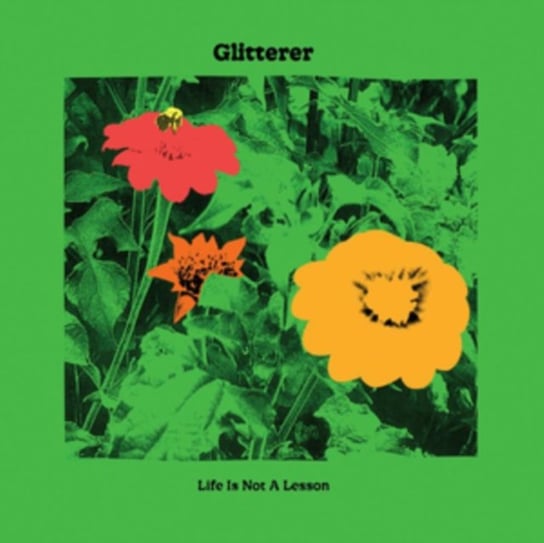 Виниловая пластинка Glitterer - Life Is Not a Lesson цена и фото