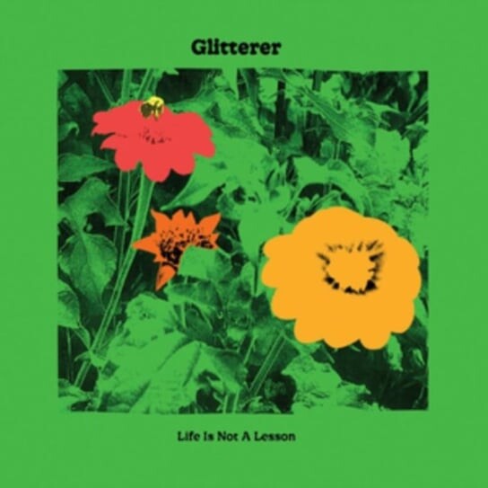 

Виниловая пластинка Glitterer - Life Is Not a Lesson
