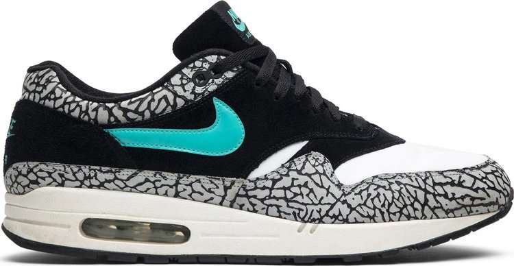 Nike on sale atmos x