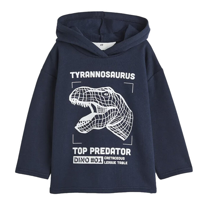 

Толстовка H&M Dinosaur Printed, темно-синий