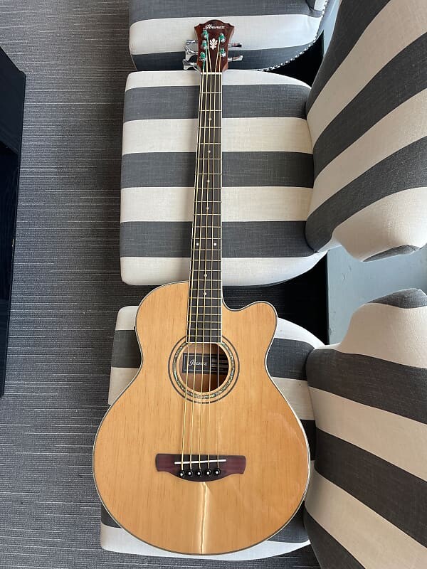 

Ibanez AEB105ENT