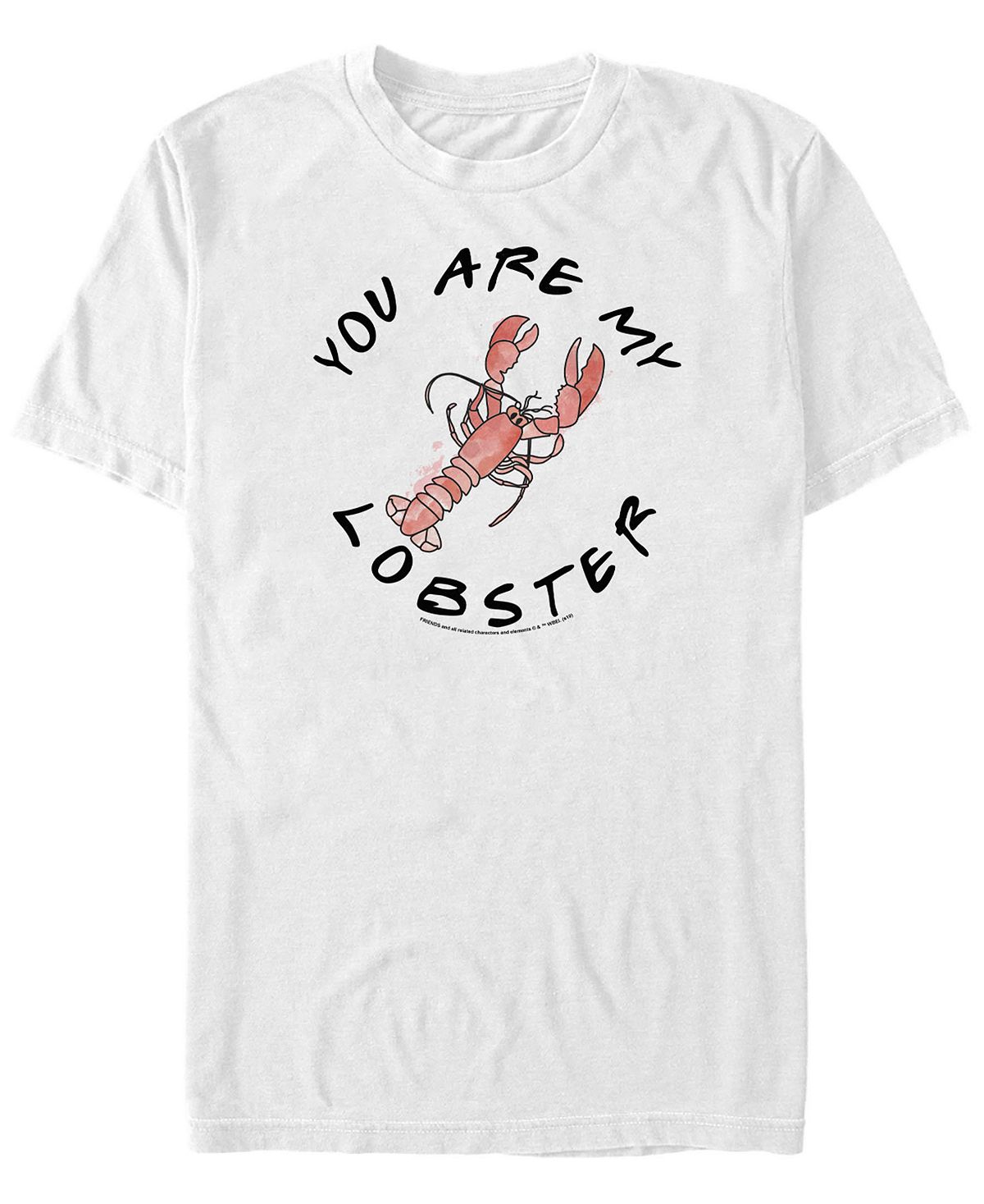 Мужская футболка с коротким рукавом с текстом you are my lobster friends Fifth Sun, белый