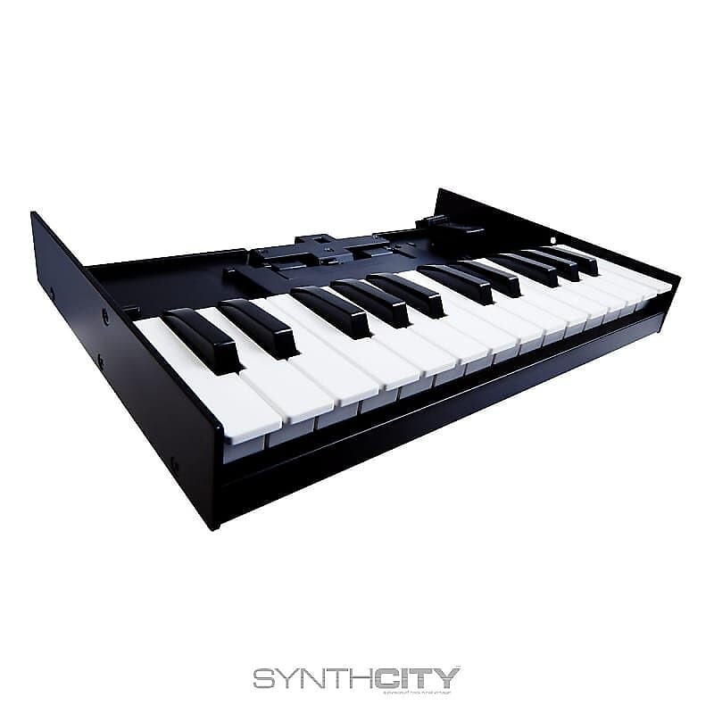 

Клавиатурный блок Roland K-25m K-25m Keyboard Unit