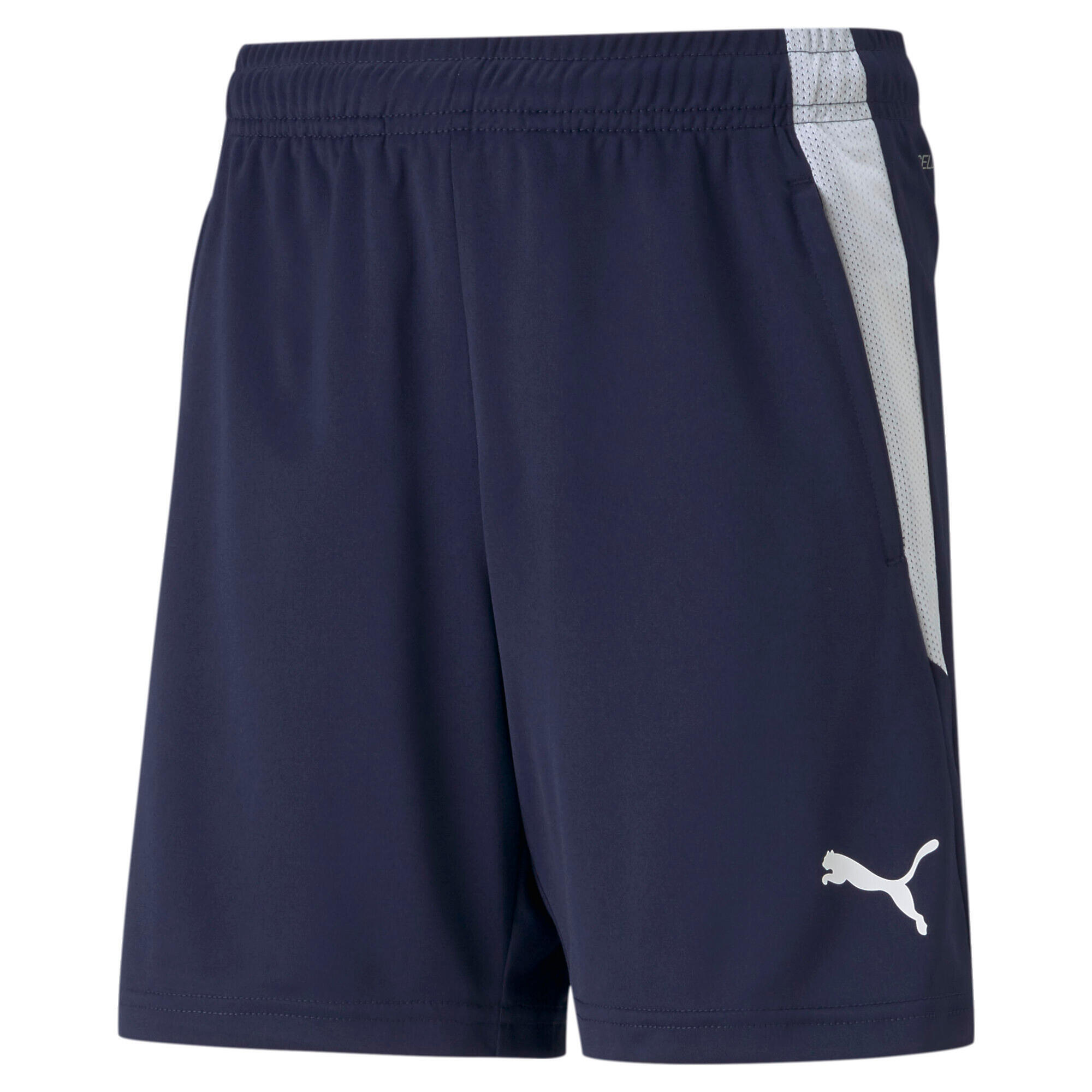 Шорты puma shorts. Шорты Puma Teamliga Training shorts 2 (open Pockets). Шорты Пума Kid Suoer. Puma Team Liga. Шорты Пума темно синие.