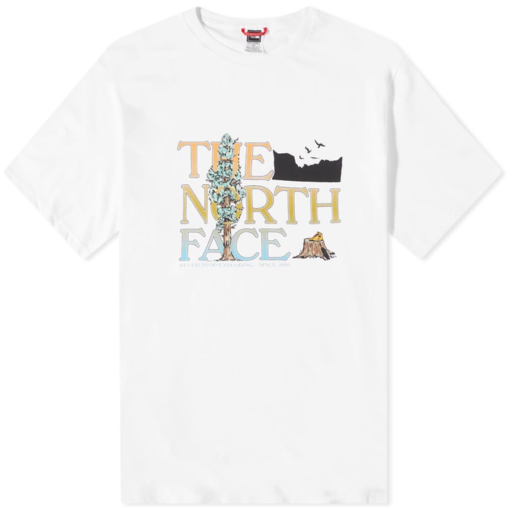 

Футболка The North Face Graphic M Tee