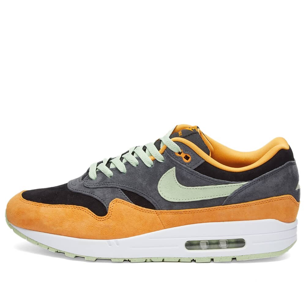 

Кроссовки Nike Air Max 1 PRM 'Ugly Duckling'