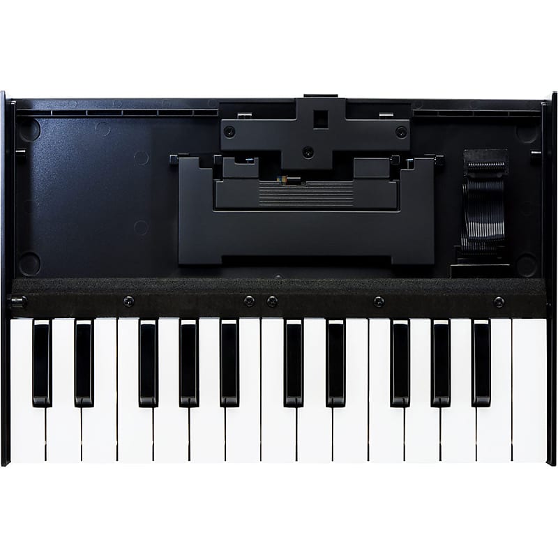 Клавиатурный блок Roland K-25m серии Boutique K-25m Boutique Series Keyboard Unit синтезатор серии roland ju 06a boutique boutique series ju 06a synthesizer module with k 25m keyboard