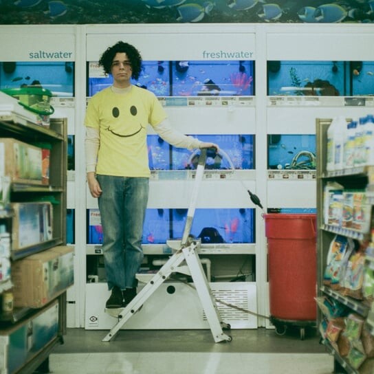 

Виниловая пластинка Hickey Charlie - Count The Stairs