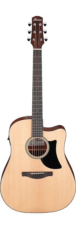 

Ibanez AAD50CE-LG