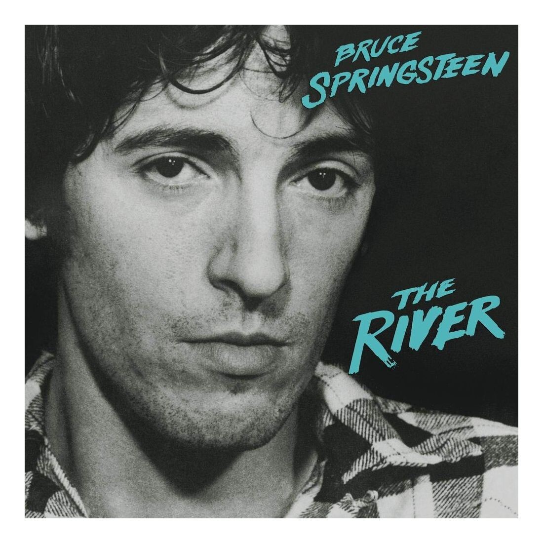 

Виниловая пластинка The River (2 Discs) | Bruce Springsteen