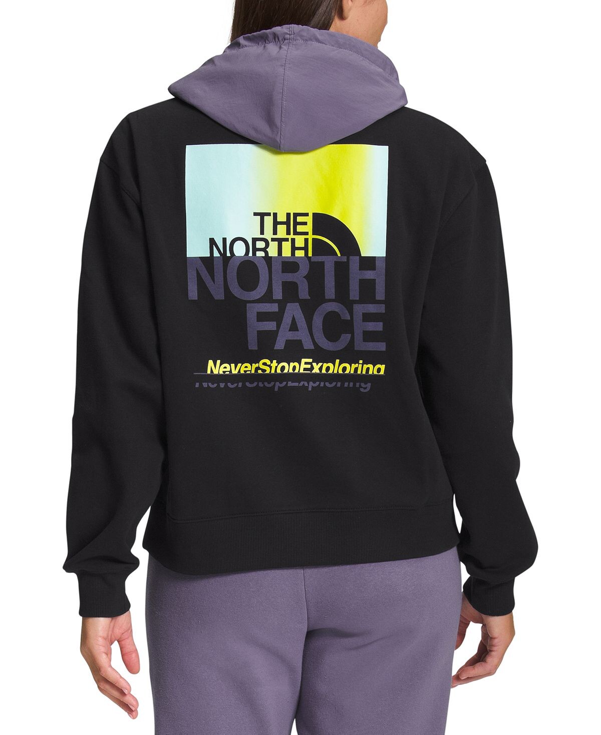 

Женская худи с координатами The North Face, мульти