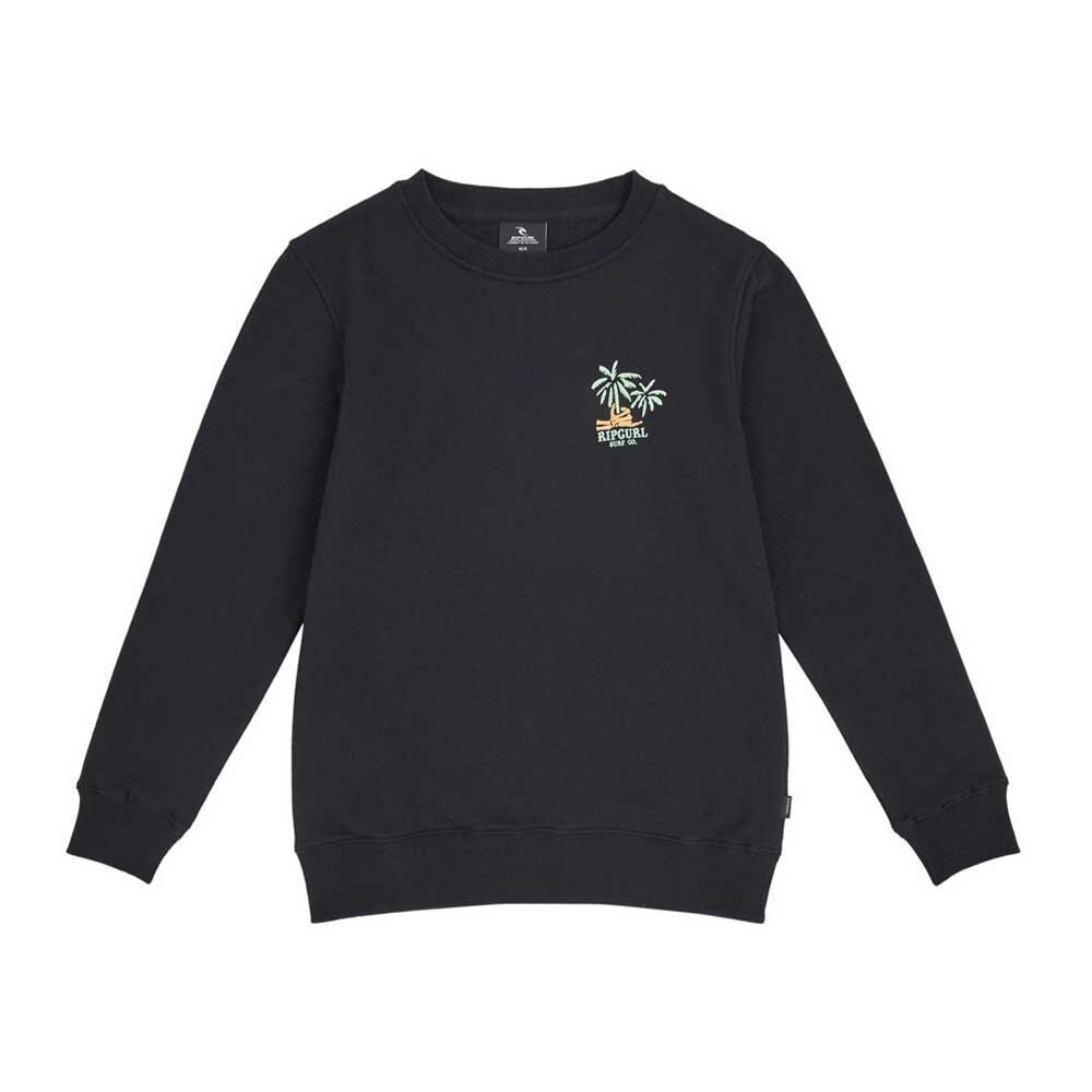 

Толстовка Rip Curl Plain, черный