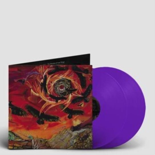 

Виниловая пластинка Intronaut - The Direction of Last Things