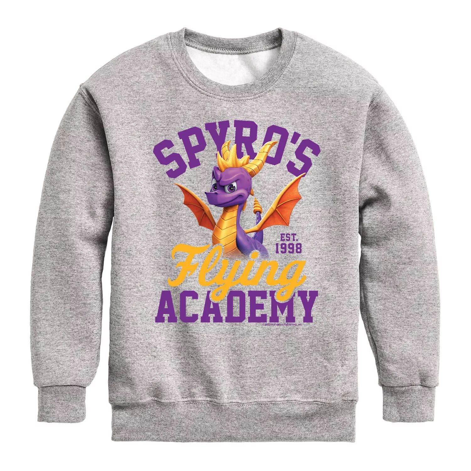 

Толстовка Spyro Flying Academy для мальчиков 8–20 лет Licensed Character