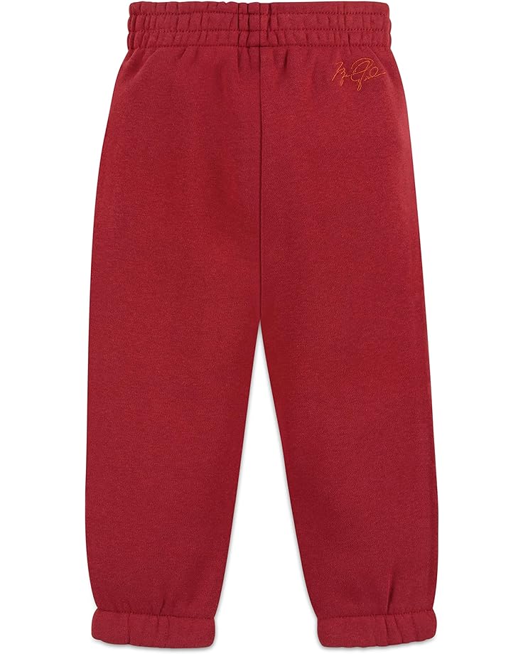 цена Брюки Jordan Essentials Pants, цвет Gym Red