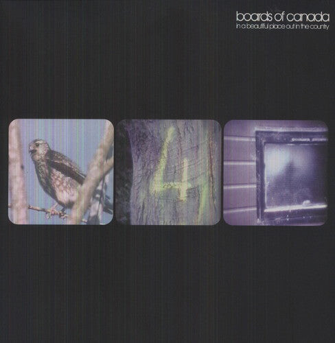 

Виниловая пластинка Boards of Canada: In a Beautiful Place in the Country