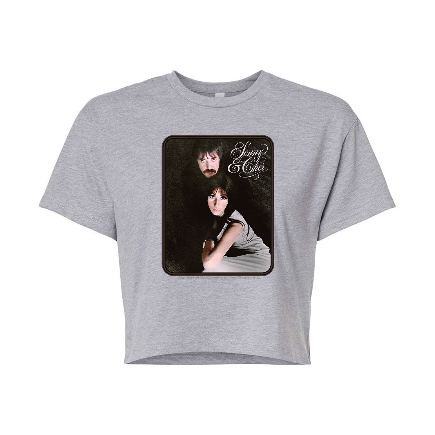 Укороченная футболка с рисунком Sonny & Cher для юниоров Licensed Character, серый